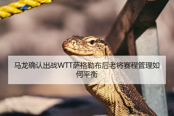 马龙确认出战WTT萨格勒布后老将赛程管理如何平衡