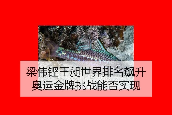 liang-wei-keng-wang-chang-shi-jie-pai-ming-biao-sheng-ao-yun-jin-pai-tiao-zhan-neng-fou-shi-xian-3-885.jpg